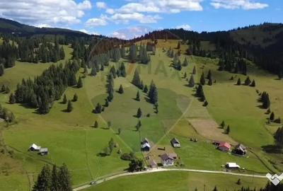 Teren de 14318 mp, în Paltin - 3