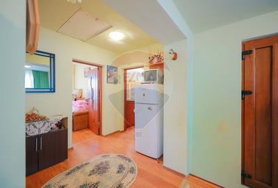 Casă cu 4 camere din cărămidă, de vânzare în zona Bratca-Damiș - 31