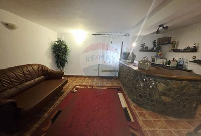 Casa /Vila de vanzare in Durau - 49