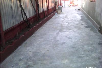 Casă cu 3 camere cu Teren 200 Mp în Lacu Dulce - 2