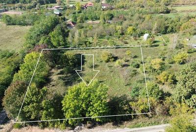 De vanzare Teren Intravilan Viile Satu Mare 2812MP/Dublu ... - 1