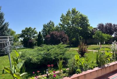 Casă individuală cu 8 camere cu Teren 7500 Mp în Samurcași - 3