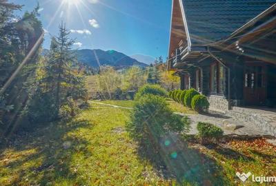 Casă cu 8 camere cu Teren 1000 Mp în Timișu de Jos - 18