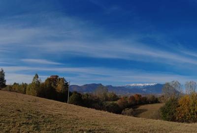 5800 mp fineata, pretabil camping, constructii A-frame, Sohodol, Bran - 8