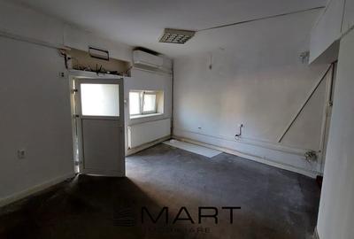 Casa spatioasa si curte zona Terezian - 18