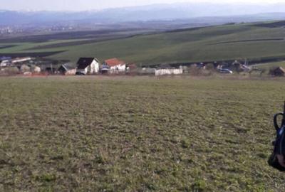 Teren intravila Sura Mare 550mp - 2