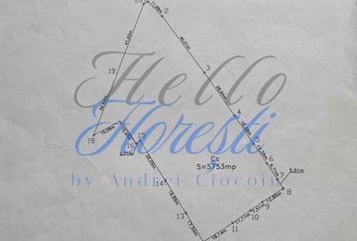 Spațiu comercial, în Central