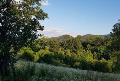 Teren de 4000 mp, în Central - 2