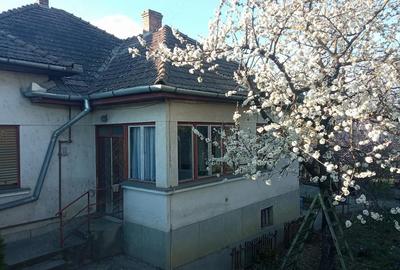 Casă cu 4 camere cu Teren 942 Mp în Gheorghe Doja - 2