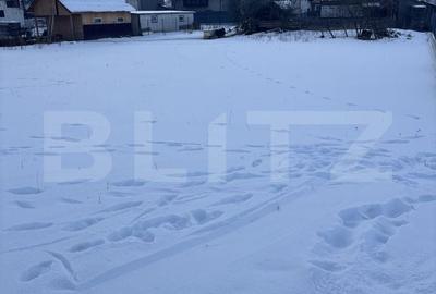 Spațiu comercial, în Voroneț - 5