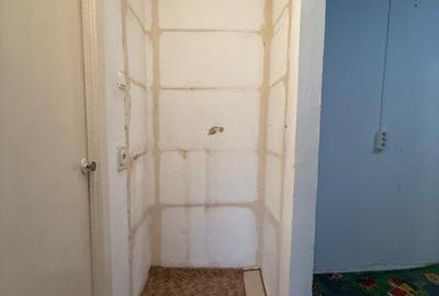 Apartament cu 2 camere decomandat în Lipovei - 10