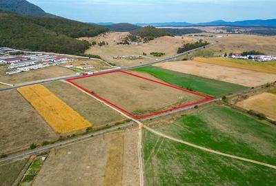Teren intravilan, 60.000 mp, acces direct la DN1, Codlea, Brasov - 3