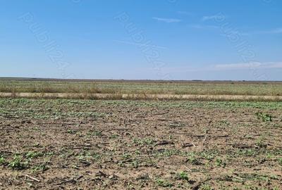 Teren de 11400 mp, în Central - 5