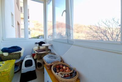 Apartament 2 dormitoare si bucatarie, parcare inclusa, 10 min de Vivo! - 14