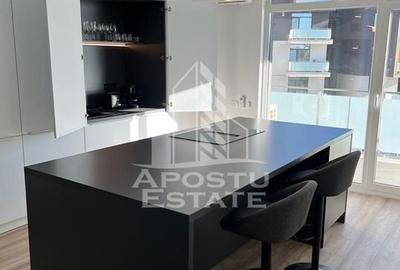 Apartament cu 2 camere nedecomandat, mobilat în Take Ionescu