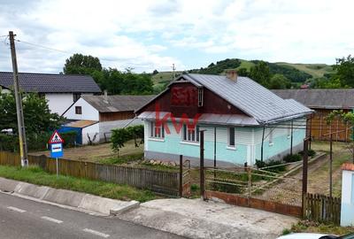 Casa+Teren 1ha - Centru Plesesti, Vulturesti