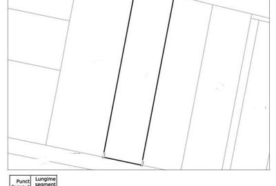 Teren de vânzare – 1000 mp în Mogoșoaia, zonă ideală pentru locuință - 4