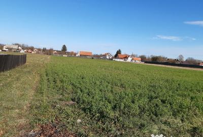 Teren de 2325 mp, în Triaj - 5