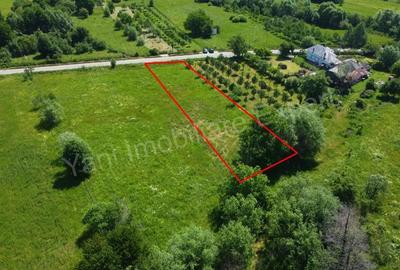 Teren de vanzare in comuna Domne?ti, jude? Arge?. - 4