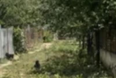 Teren de 5 mp, în Ciofliceni - 2