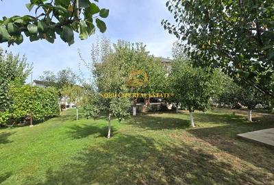 De vanare - Casa Dragomiresti Vale - 6