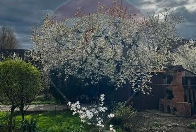 Casă cu 8 camere cu Teren 800 Mp în Central - 16