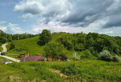 Teren 4.980 mp in Stubeiu, jud. Prahova - 1