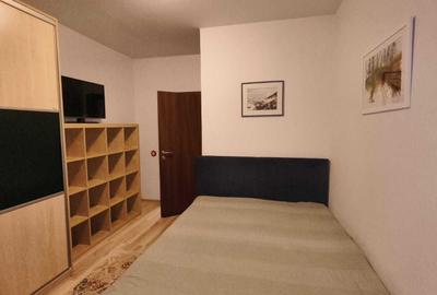 Apartament cu 2 camere decomandat în Calea Dumbrăvii - 4