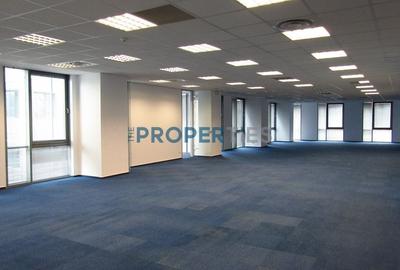 Birou, de 1,707.3399658203 mp, în Timpuri Noi - 6