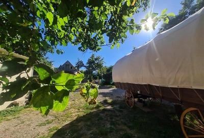 Curte individuala, spatiu pentru activitati copii/birouri,  Racadau, Brasov - 10