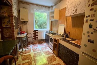 Central, Al.I Cuza - apartament spatios - 2