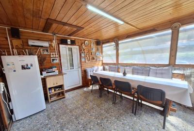 CASA DE VACANTA - UN MIC COLT DE RAI , STEFANESTI, ARGES CASA DE VACANTA - UN MIC COLT DE RAI , STEFANESTI, ARGES - 11