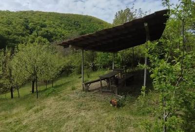 Teren de 4430 mp, în Central - 5