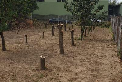 Teren de vânzare Jilava aproape de podul de la Centură, 800 mp, utilitati - 2