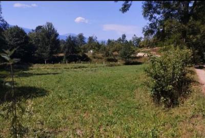 Spațiu comercial, în Slătinioara