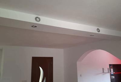 Casă cu 5 camere cu Teren 4000 Mp în Timișești - 1