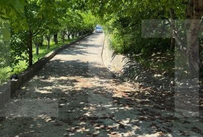 Casă cu 5 camere cu Teren 2248 Mp în Curtești - 12