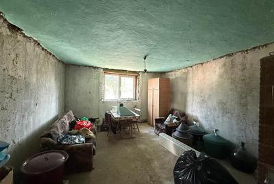 Casă individuală cu 5 camere cu Teren 1518 Mp în Cheresig - 18