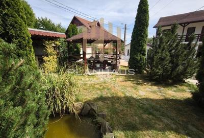 Proprietate cu 20 de camere și 11 ari de teren lângă Stadionul Baia Mare – - 2