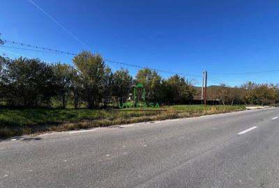 Teren intravilan/Str Balciului/Copacelu - 4