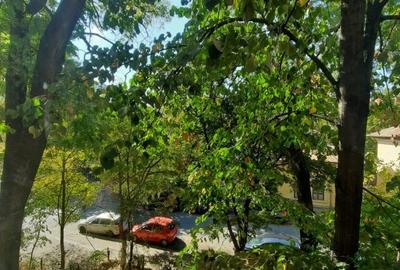 Obor,Colentina,Doamna Ghica,Tei,12 minute metrou Obor,Colentina,Doamna Ghica,Tei,12 minute metrou - 16