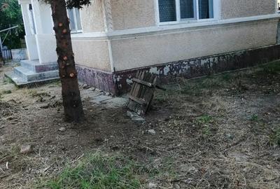 Casa Lipia ,8 km de Buzau - 10