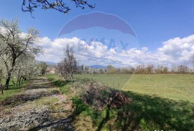 Teren de 1600 mp, în Cărbunari