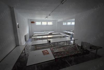 Spațiu comercial, de 30,000 mp, în Vălenii de Munte - 13