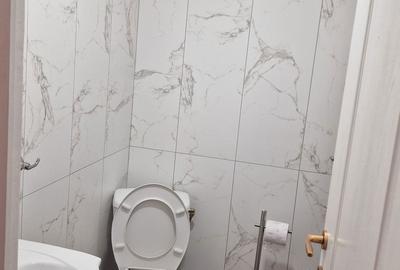 Garsonieră decomandată în Dosu Bricii - 2