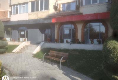 Spa?iu comercial de inchiriat in intersec?ia Delfinariu - 8