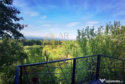 Casă cu 3 camere cu Teren 9500 Mp în Valea Călugărească - 14