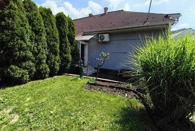 Spatiu Birouri zona Centrala 50mp Curte separata - 3