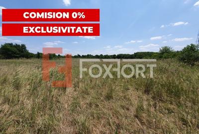 COMISION 0% Teren de vanzare intravilan de 5000 mp in Chisoda - 10