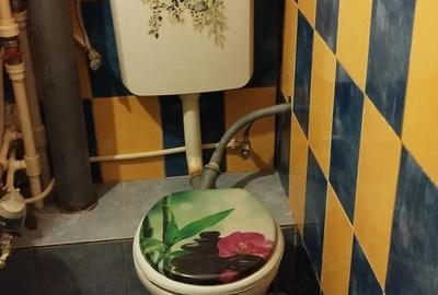 Garsonieră nedecomandată în Mureșel - 3